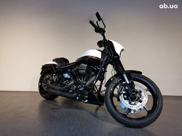 Harley-Davidson CVO Image 5