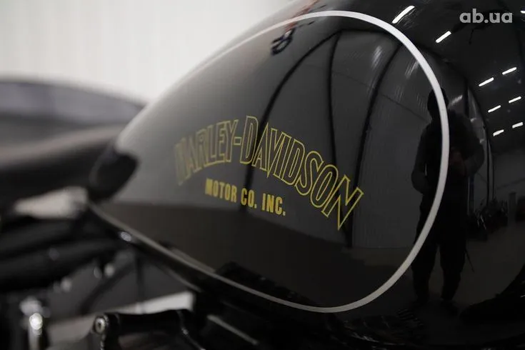 Harley-Davidson FLSTC Image 3